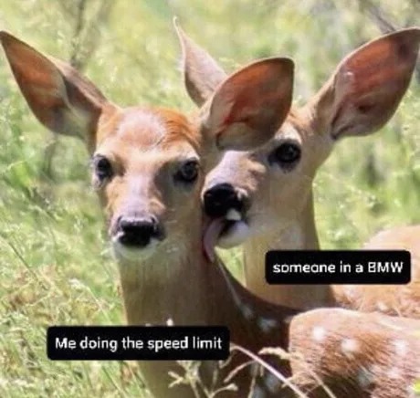 BMW drivers meme