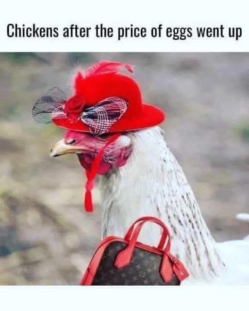 rich and stylish - meme