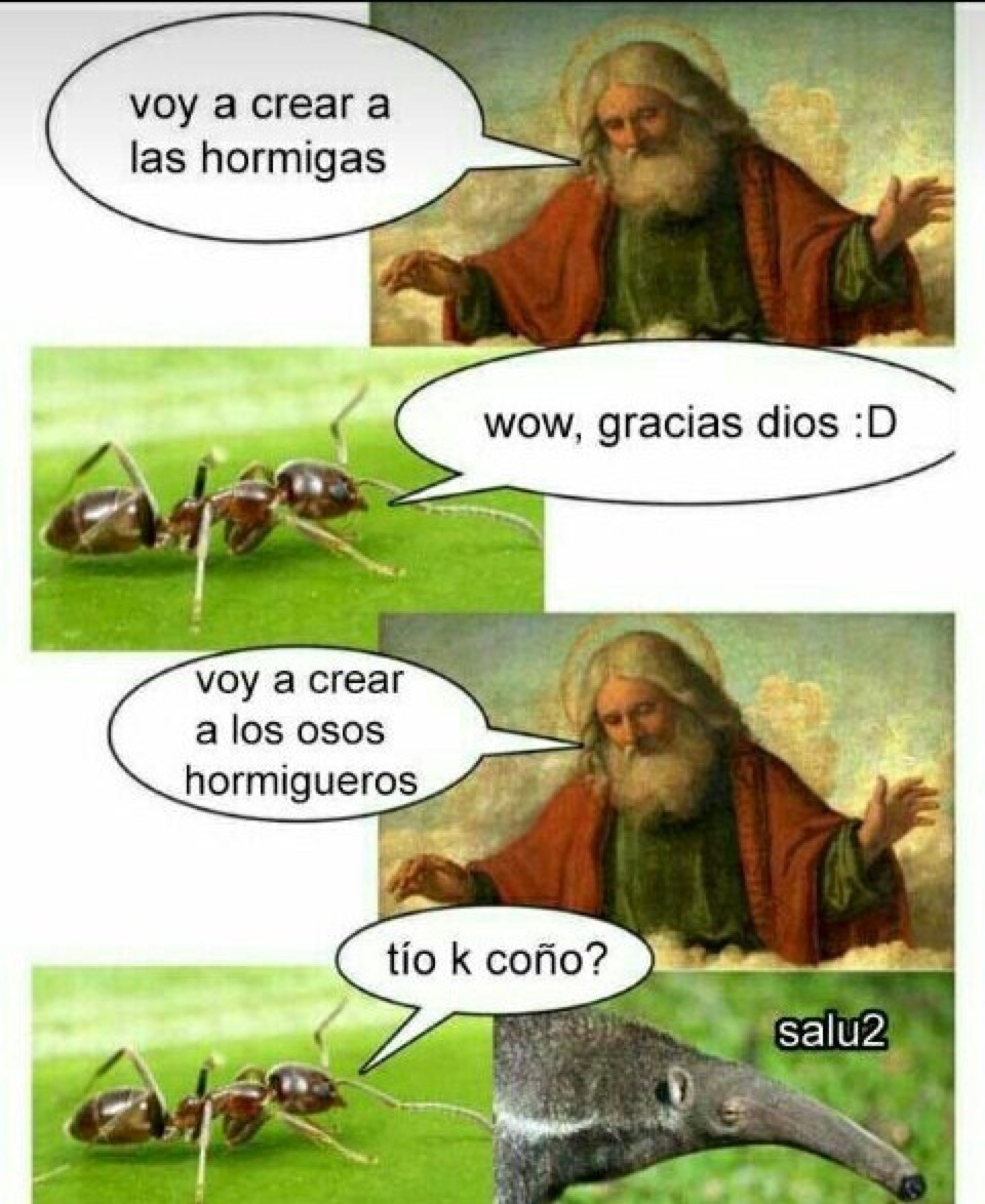 Por qué hay qué ponerlo título? - meme