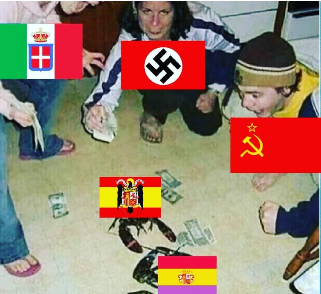 Stos spanioles - meme