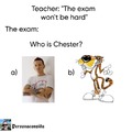 Who is chester?