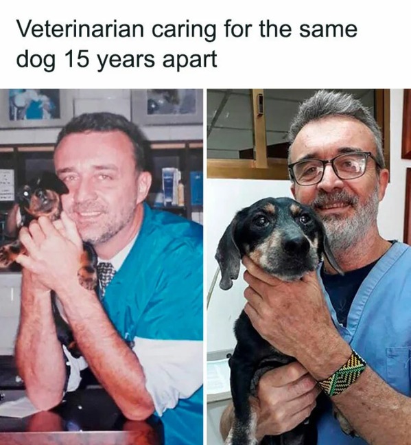 Title - meme