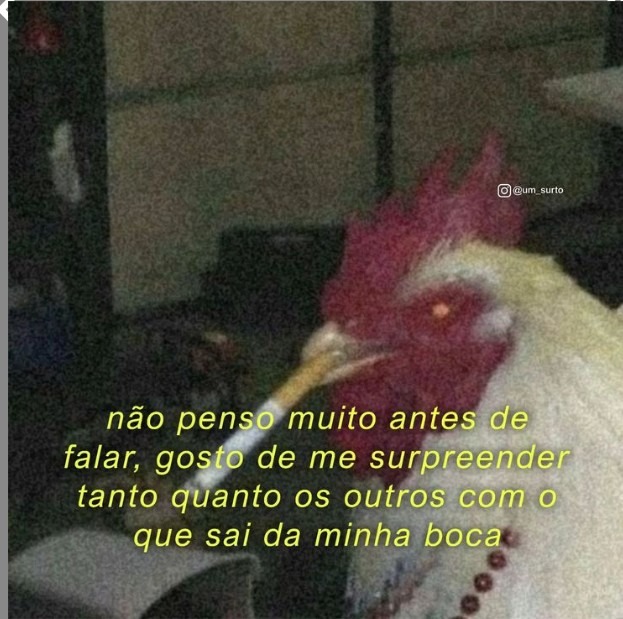 Galo - meme