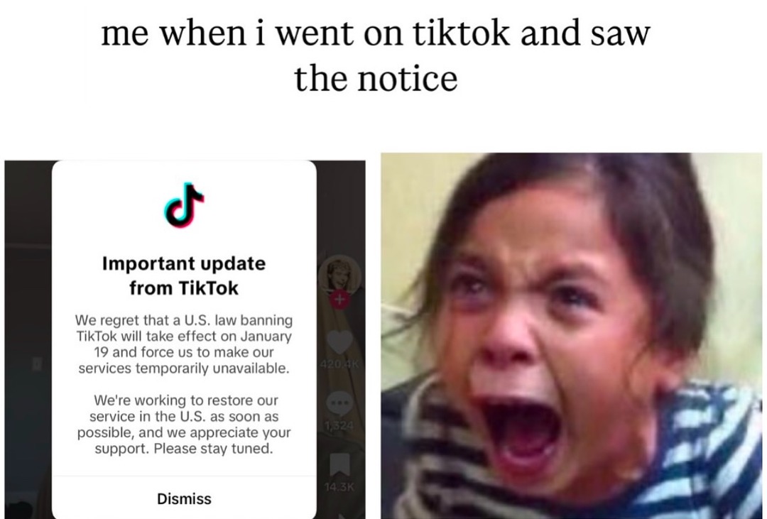 RIP TikTok - meme