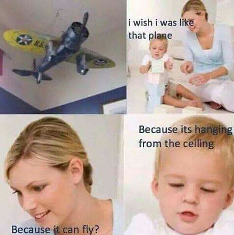 I wish I could fly - meme