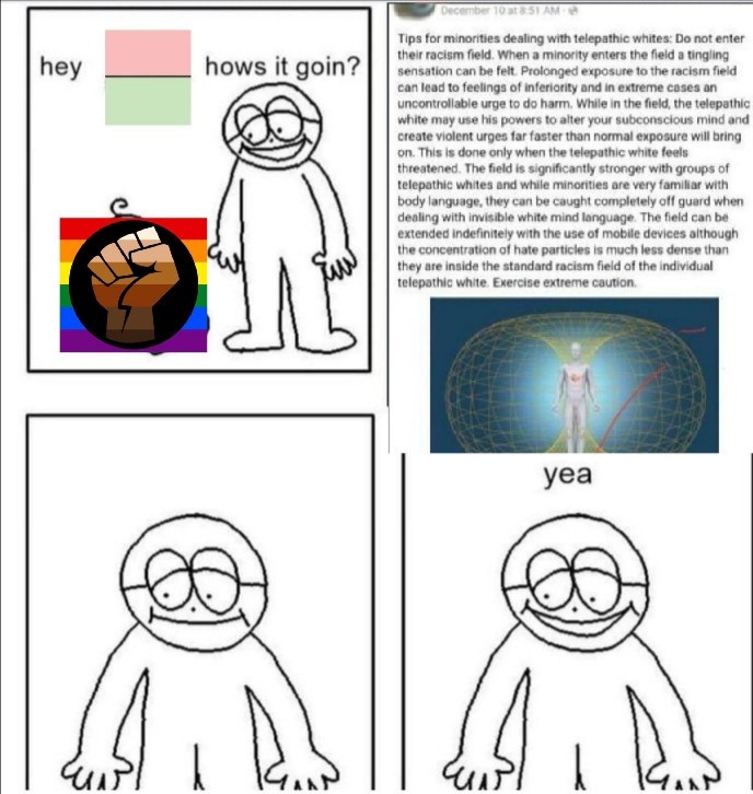 Le racism field - meme