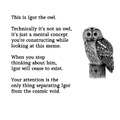 this is Igor the owl
