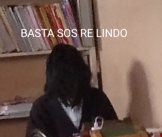 BASTA SOS RE LINDO - meme