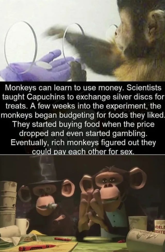 Monkey business - meme