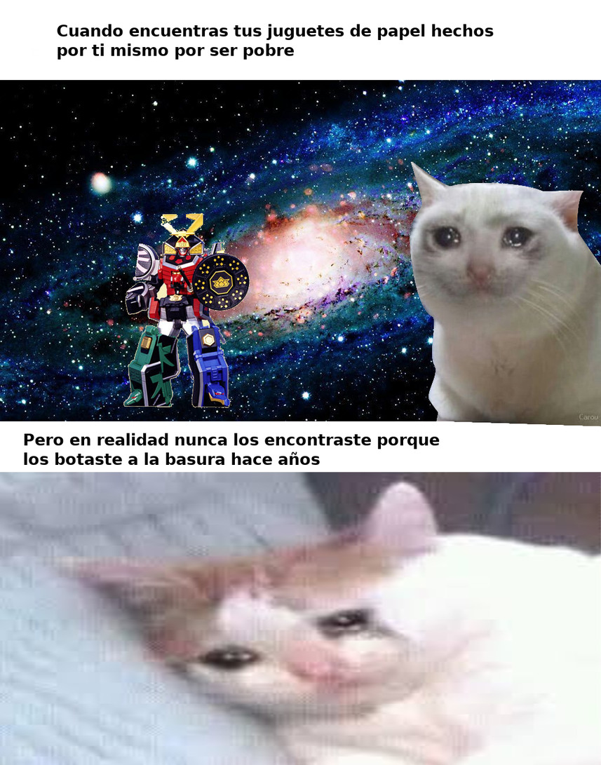 Featured image of post Meme Gato Llorando Google Ver m s ideas sobre meme gato gato triste gatos raros