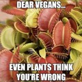 Plants can eat meat, but you can't