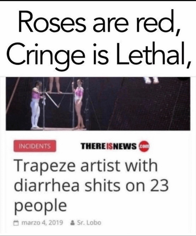 Trapeze artist drops more than jaws - meme