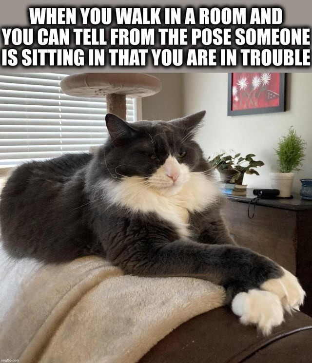 That pose in the room that says you’re in trouble - meme