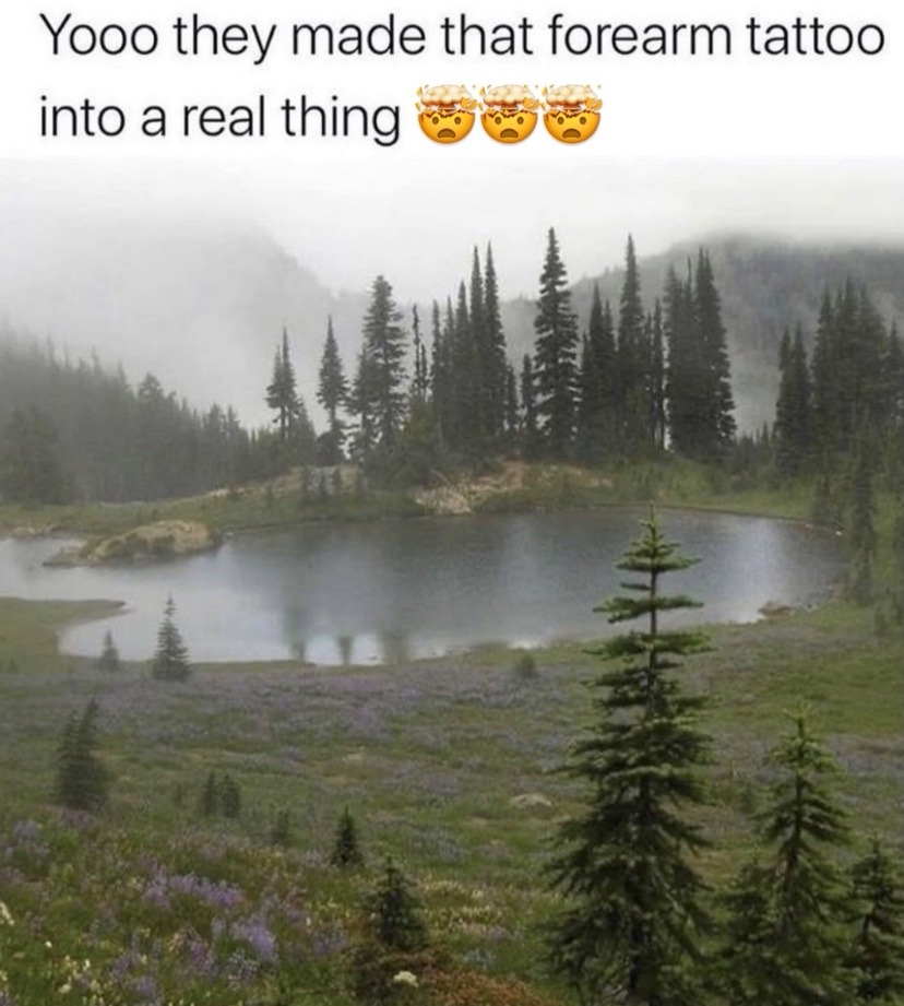 Since when?? - meme