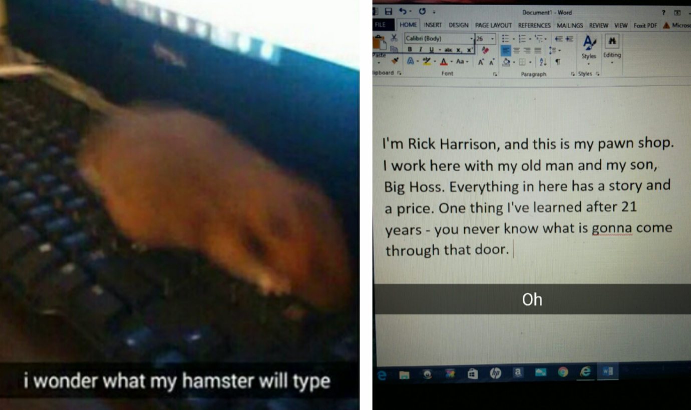 Let me call in my buddy who's an expert on typing hamsters - meme