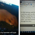 Let me call in my buddy who's an expert on typing hamsters
