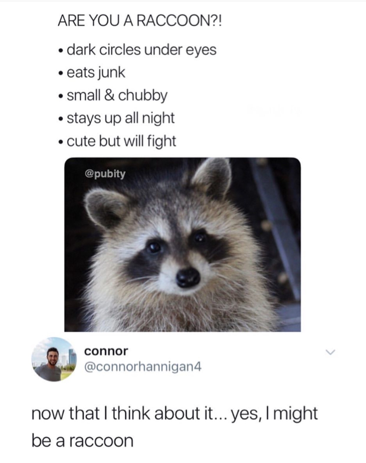 Racoons перевод с английского. Raccoon memes. Raccoon перевод на русский. Raccoon произношение. Raccoon Eye meme.