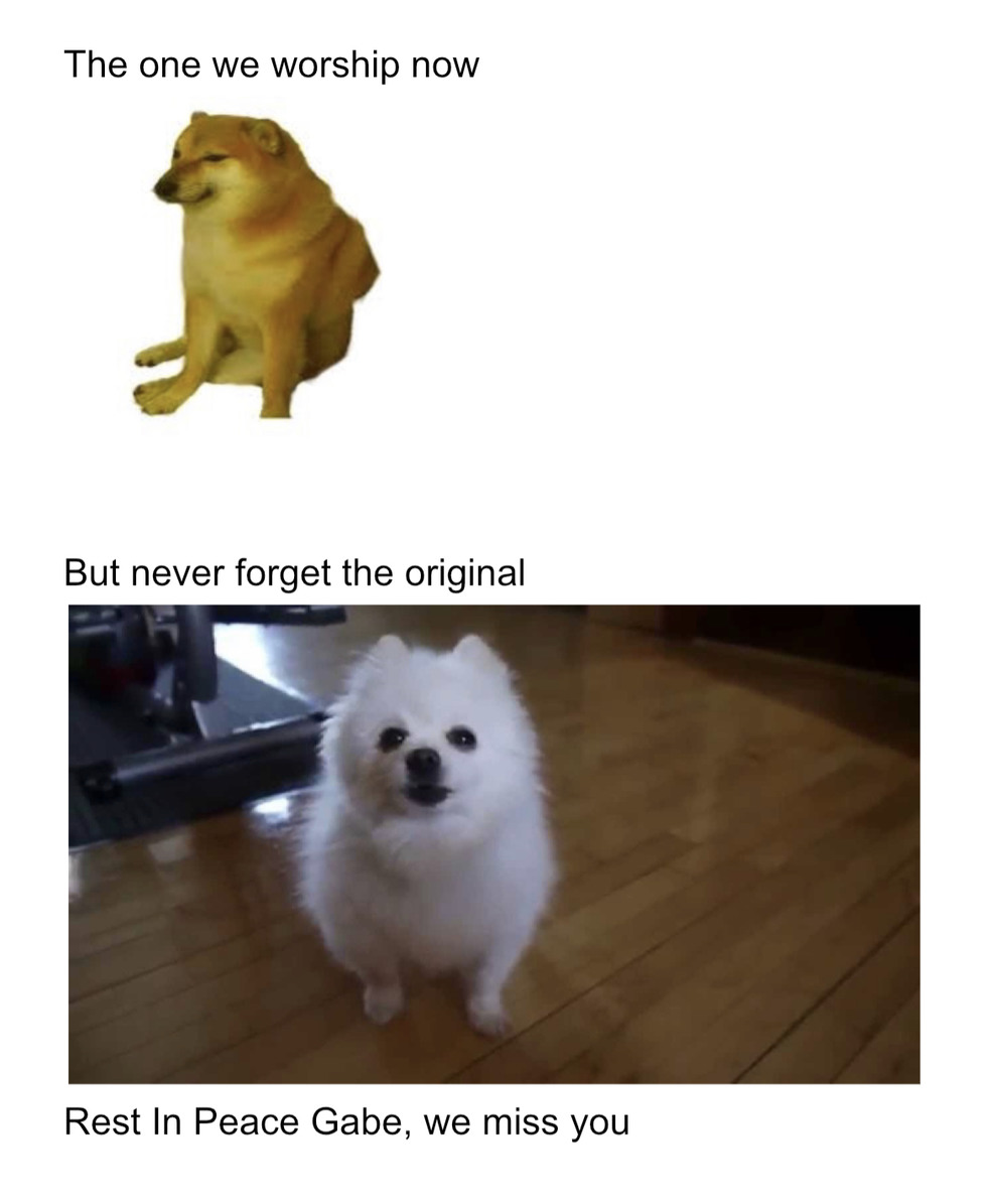 Gabe the dog - meme