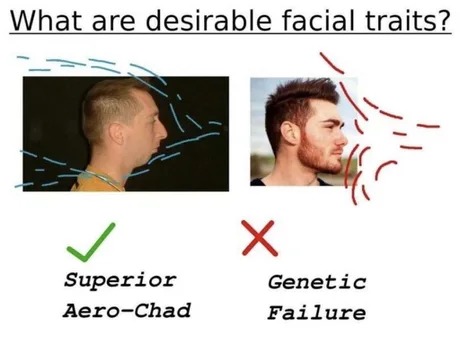 Superior Aero Chad - meme