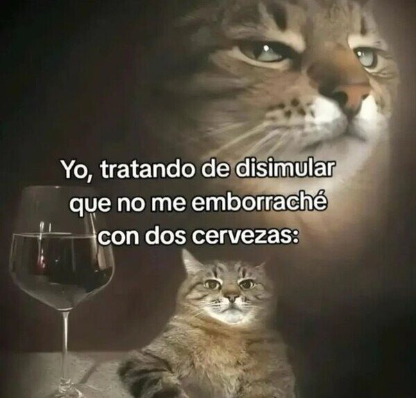 cuando dices que aguantas el alcohol pero llevas dos birras y ya estás volando - meme