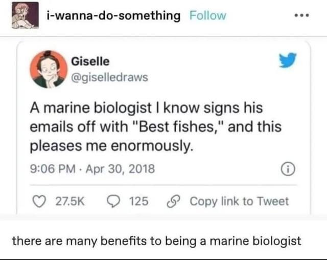 Marine biologist signs off emails with ‘Best fishes’. Iconic - meme