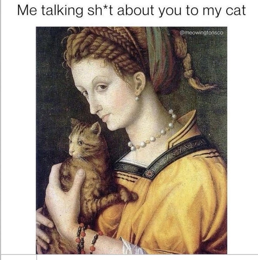 talking sh*t about you to my cat like a true villain - meme