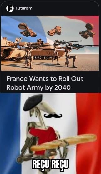 France said baguette AND botnet by 2040 - meme