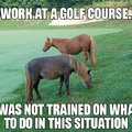 Happened at my work...runaway ponies haha