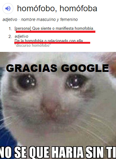 Gracias Google, no se que haríamos sin ti - meme