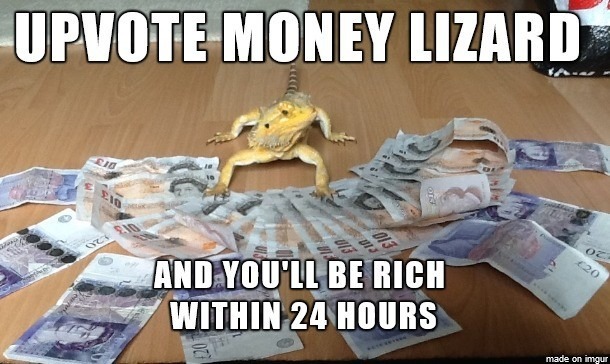 Money lizard - meme
