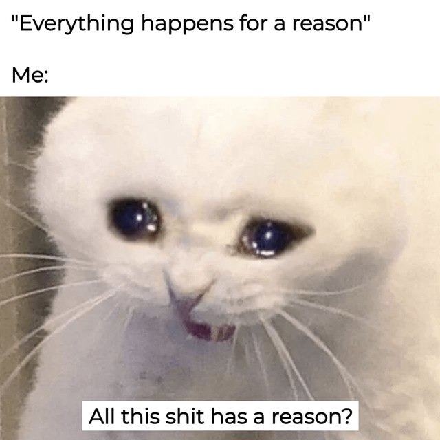 Everything happens for a reason? Yeah, sure, reason is chaos - meme