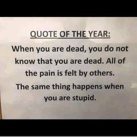 Stupid is Deadly to others - meme