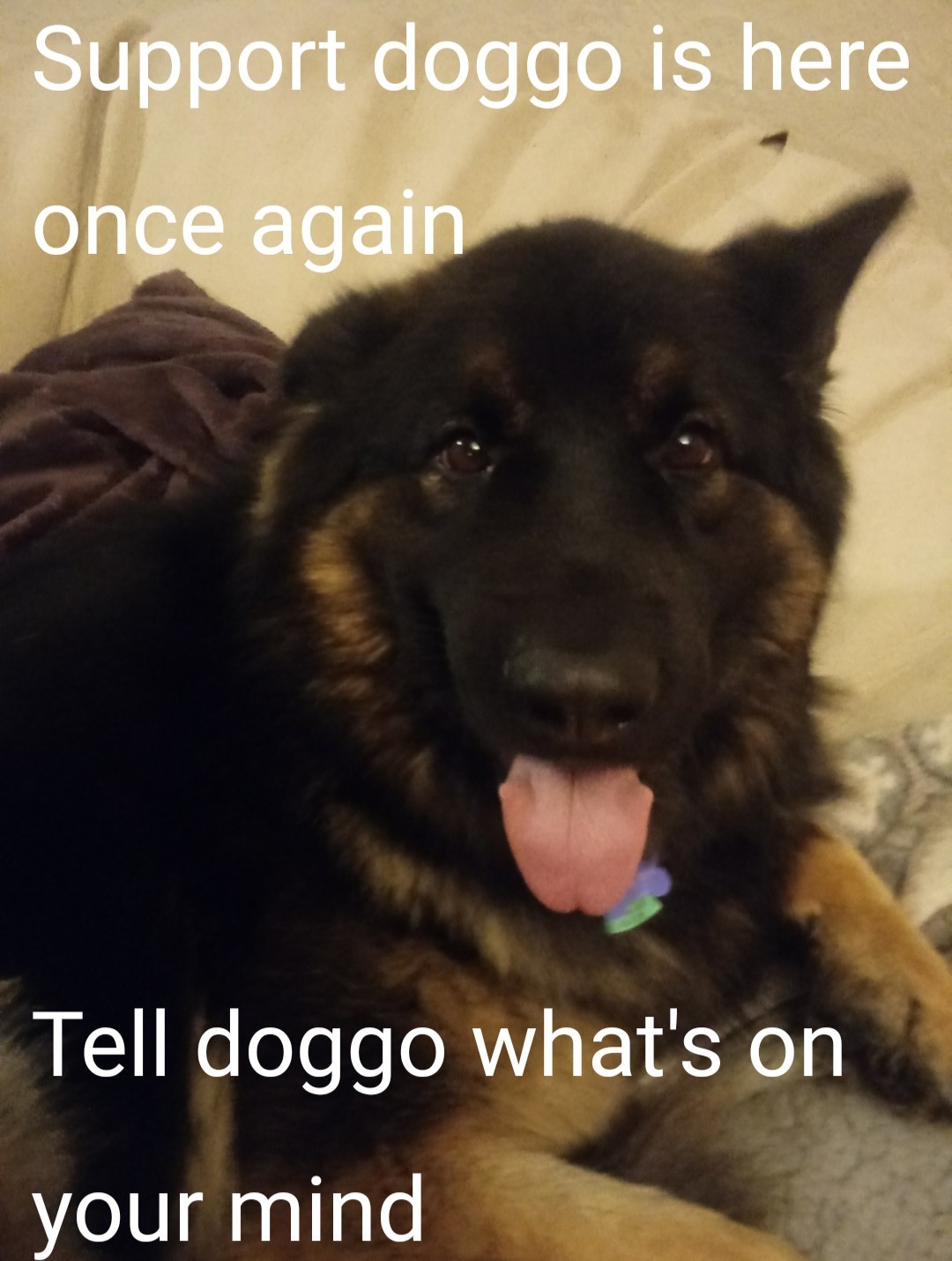 Doggo is here to listen - meme