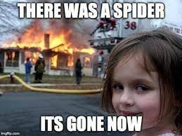 The spider is definable gone - meme