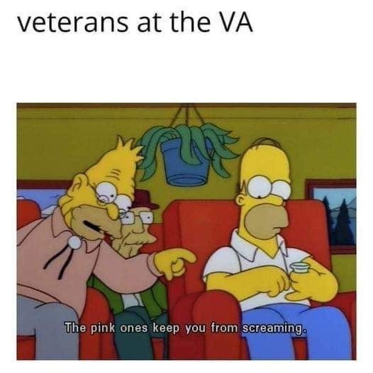 VA life - meme