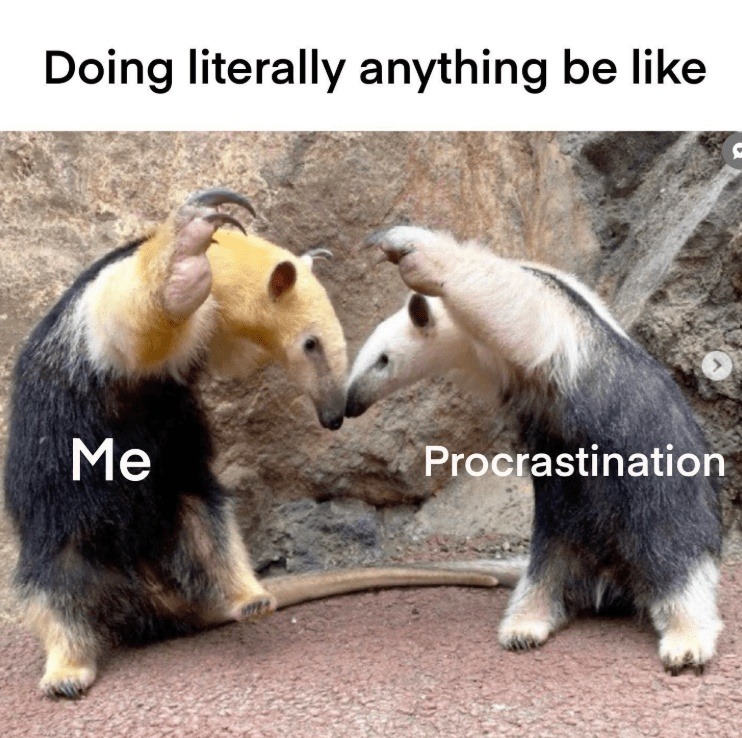 Procrastination wins yet another round - meme