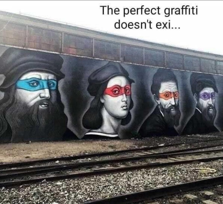 Turtle power - meme