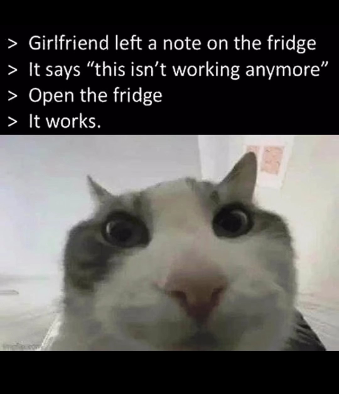 Must be something wrong with the dishwasher again - meme