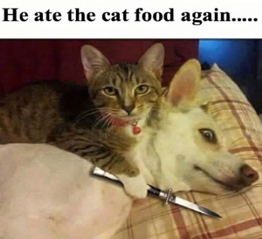 Again? - meme
