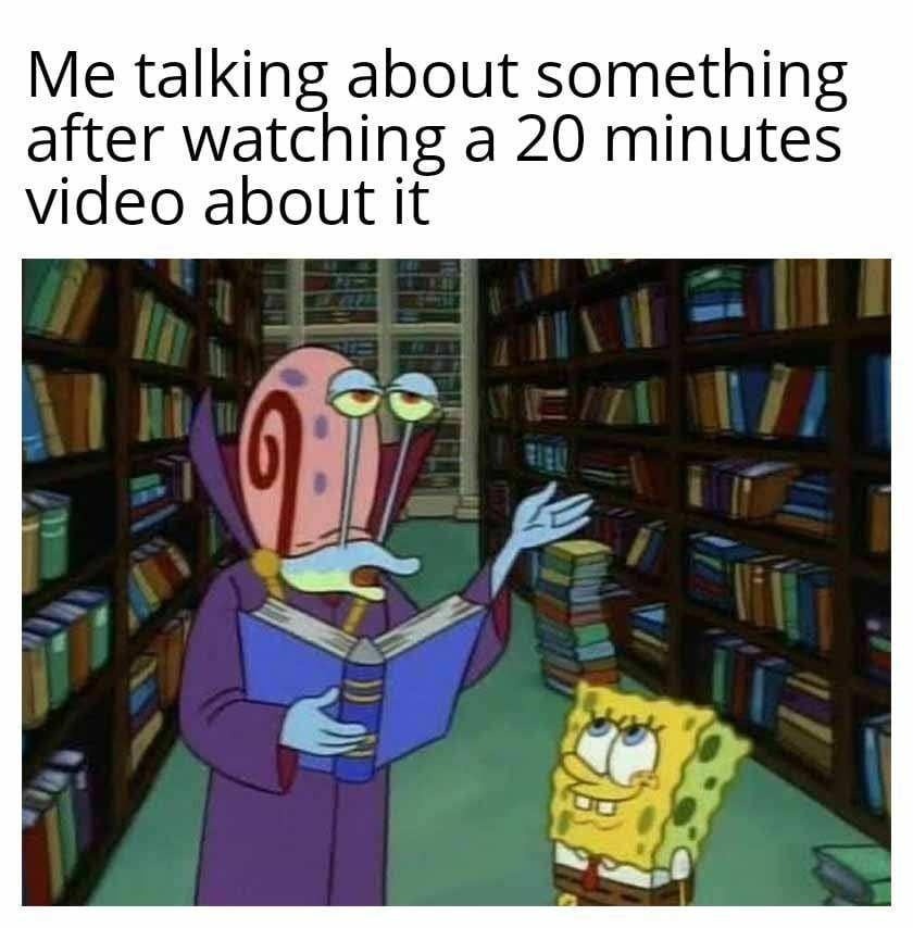 Watched a 20-minute video, now I’m the leading expert - meme