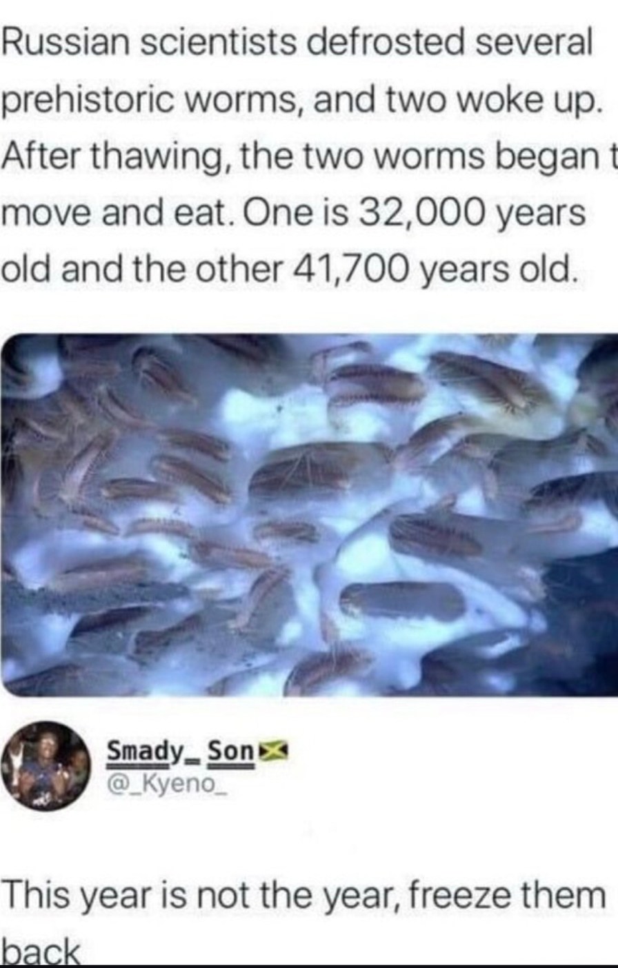 ﻿Russian scientists defrosted several prehistoric worms, and two woke up After thawing, the two worms began t move and eat. One is 32,000 years old and the other 41,700 years old. Smady _ Sont @_Kyeno This year is not the year; freeze them back