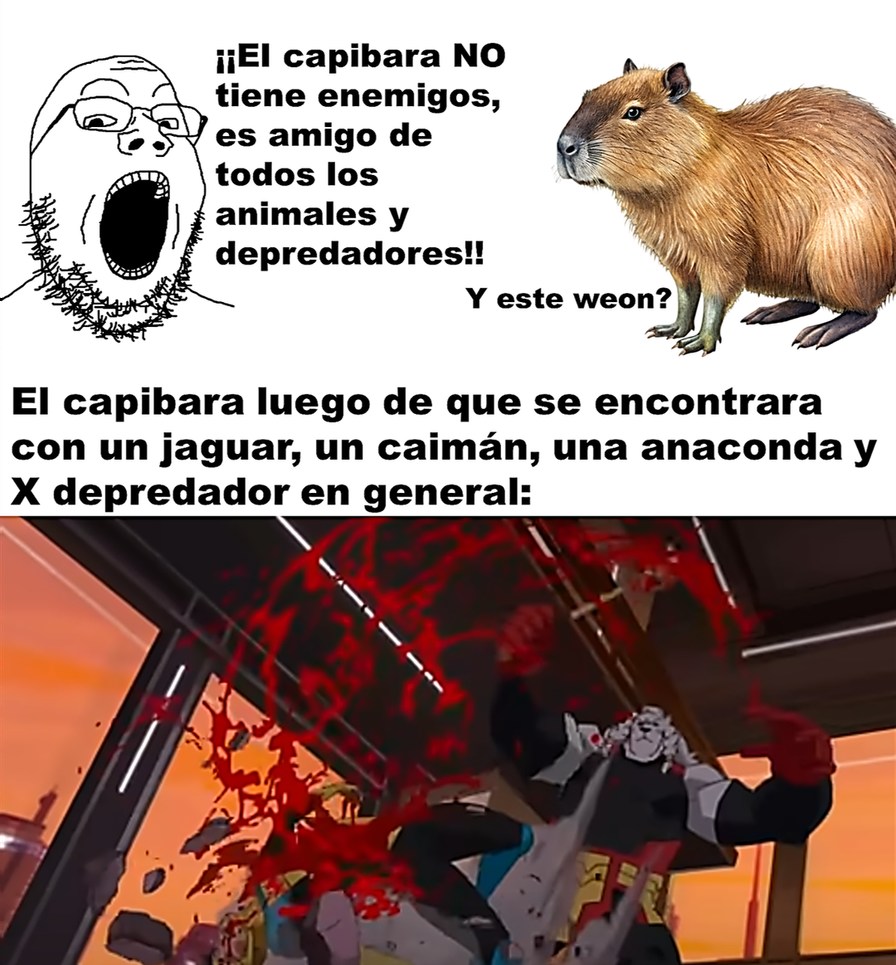 se acuerdan cuando decian que el capibara era amigo de todos? que estupidez, tenia que ser en TikTok - meme