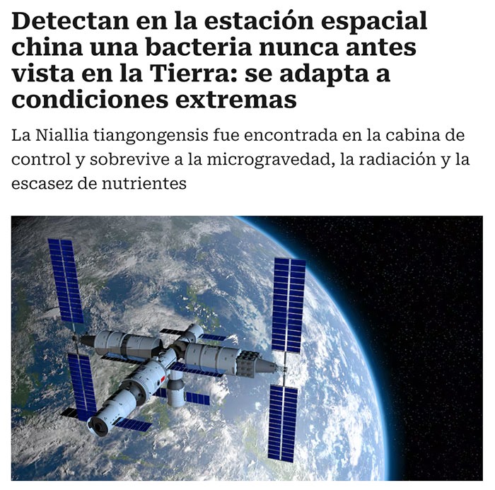 Meme espacial: encuentran bacteria en China que parece de otro universo