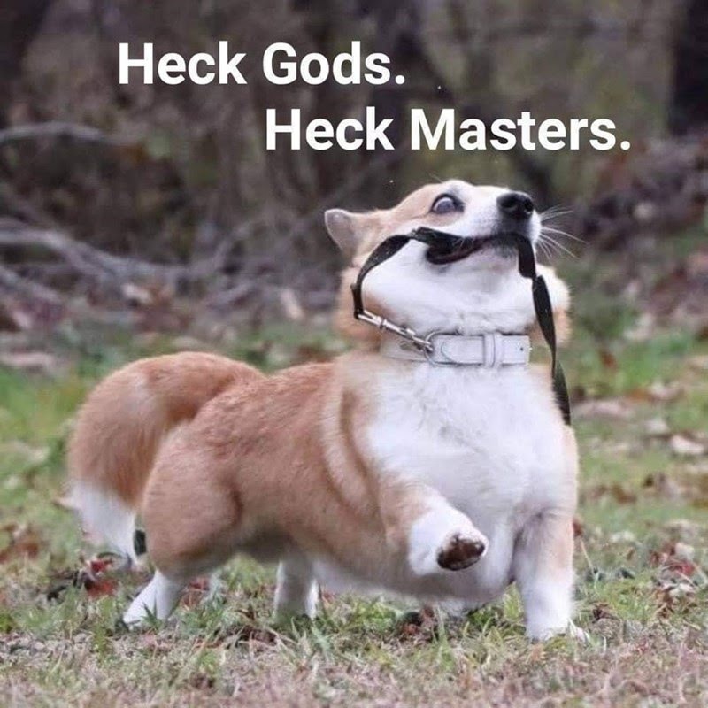 Be like this doggo become your own master - meme