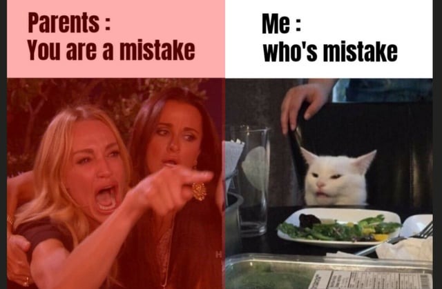 You're a mistake - meme