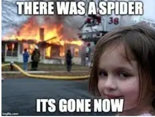 hate spiders - meme