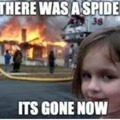 hate spiders