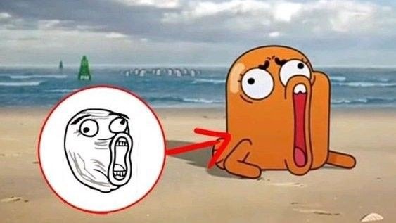 :lol: - meme