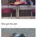 Business pigeon