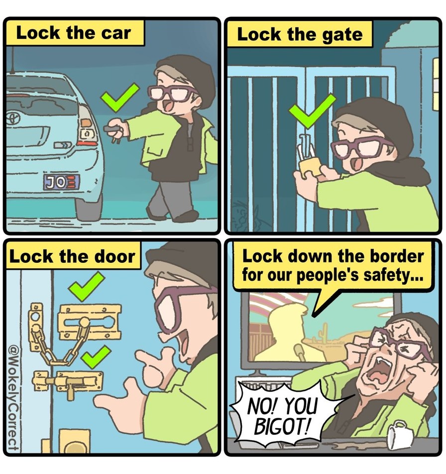 Locks for me, but not for thee - meme